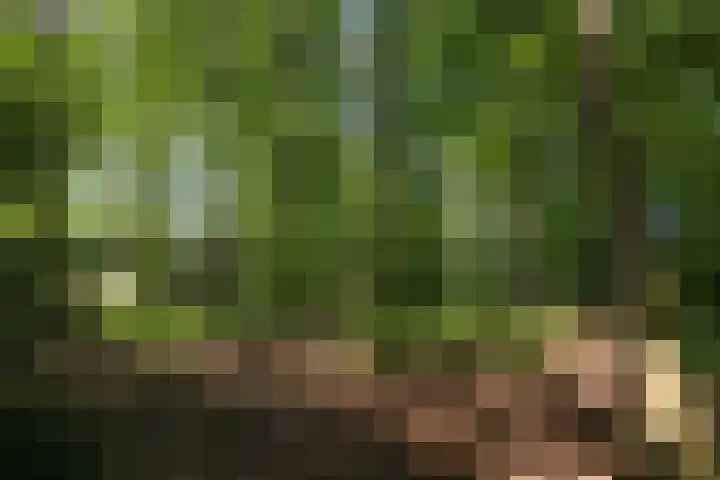 Jonkmansweg 1 Deurningen thumbnail 60