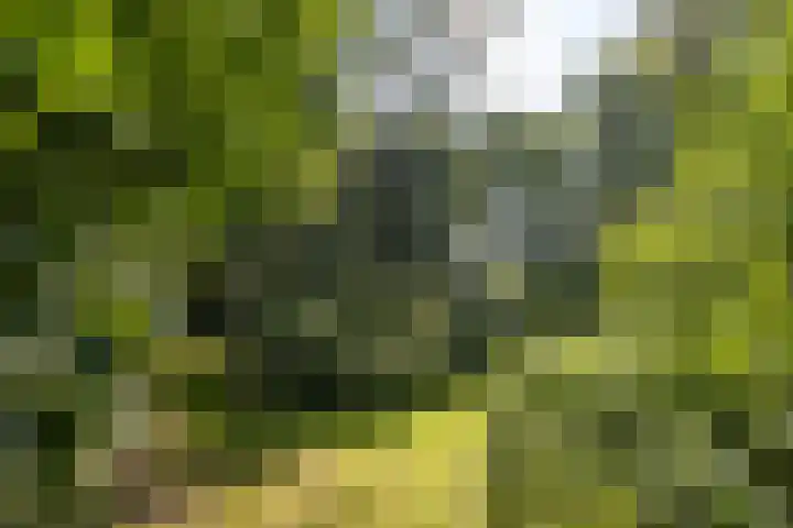 Jonkmansweg 1 Deurningen thumbnail 61