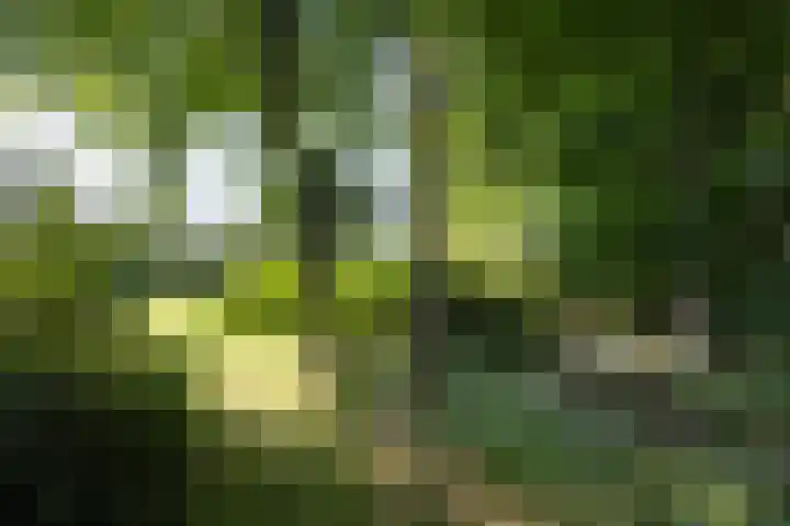 Jonkmansweg 1 Deurningen thumbnail 62