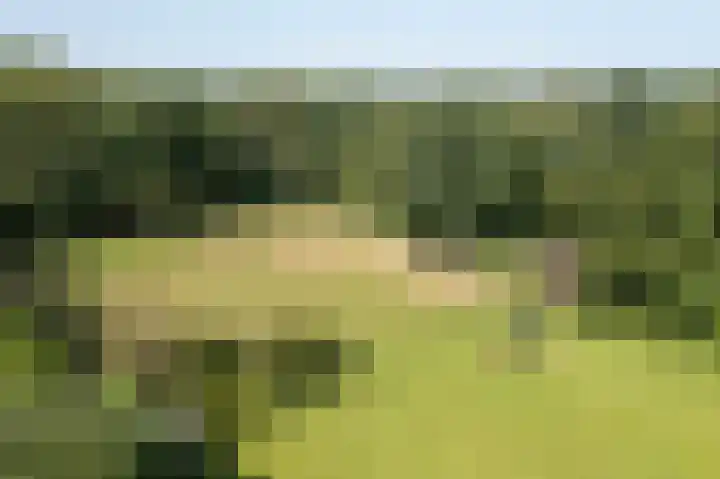 Jonkmansweg 1 Deurningen thumbnail 63
