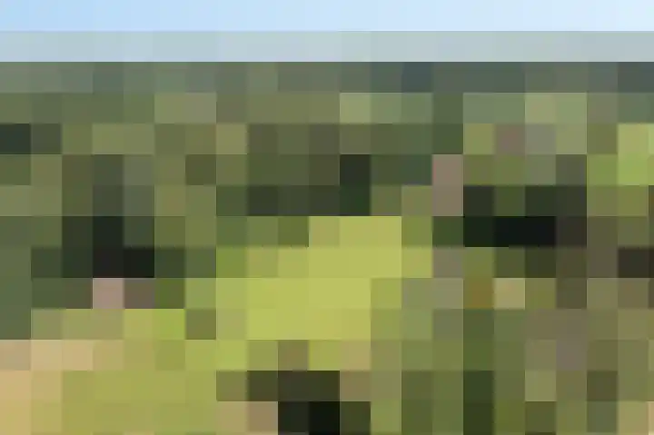 Jonkmansweg 1 Deurningen thumbnail 64