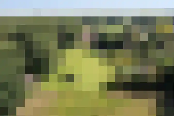 Jonkmansweg 1 Deurningen thumbnail 65