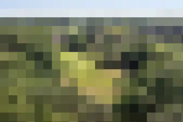 Jonkmansweg 1 Deurningen thumbnail 66