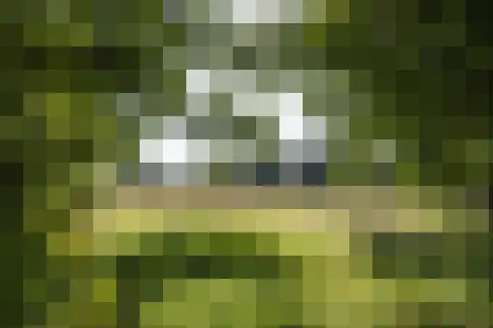 Jonkmansweg 1 Deurningen thumbnail 67