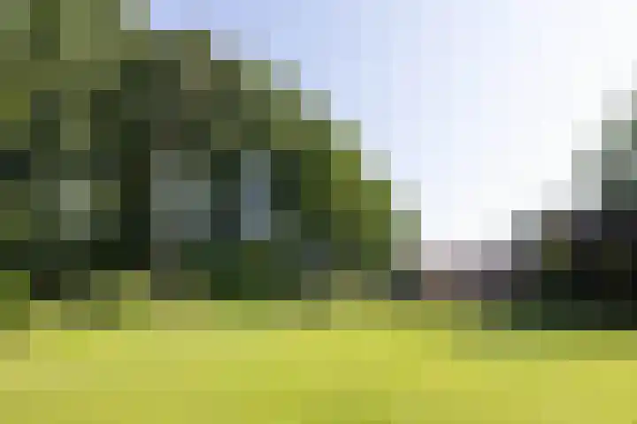 Jonkmansweg 1 Deurningen thumbnail 68