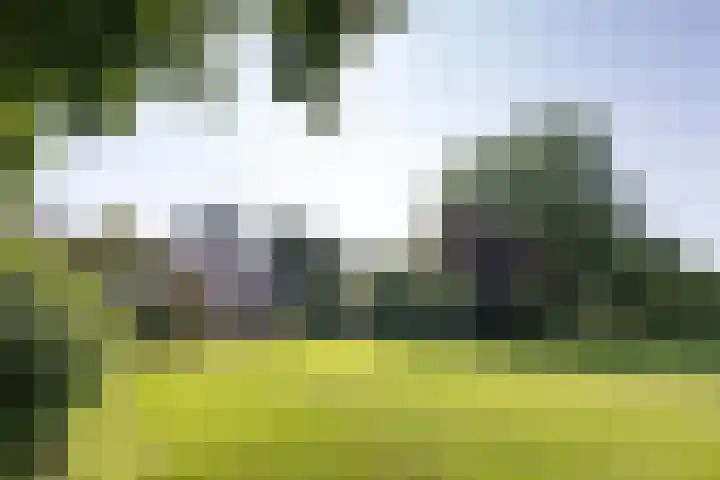 Jonkmansweg 1 Deurningen thumbnail 69