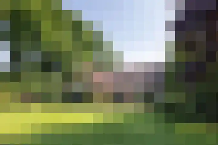 Jonkmansweg 1 Deurningen thumbnail 70