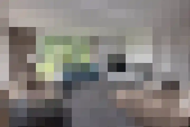 Jonkmansweg 1 Deurningen thumbnail 8
