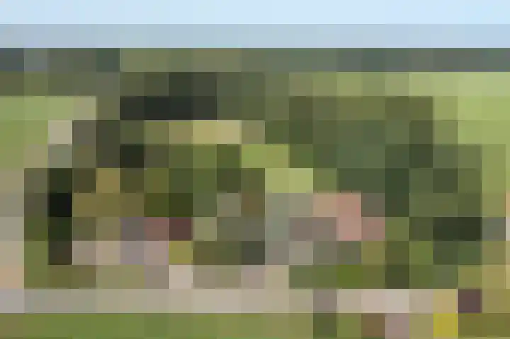 Jonkmansweg 1 Deurningen thumbnail 80