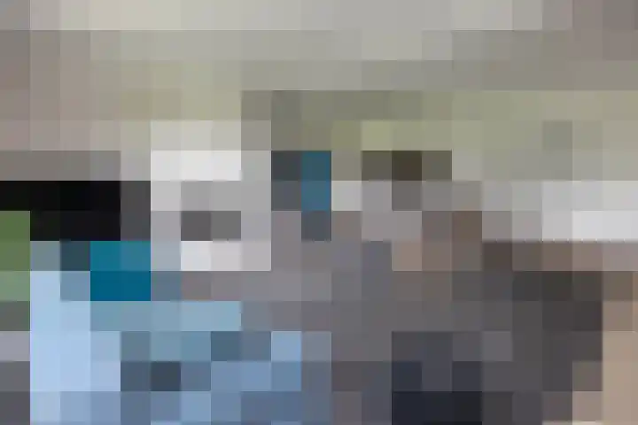 Jonkmansweg 1 Deurningen thumbnail 9