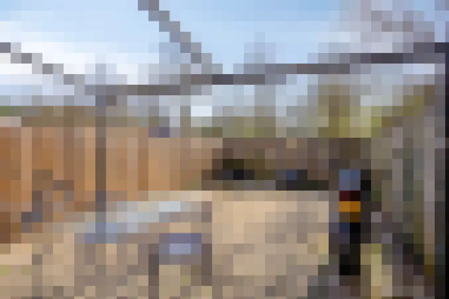 Jonkstraat 16 Alkmaar thumbnail 27