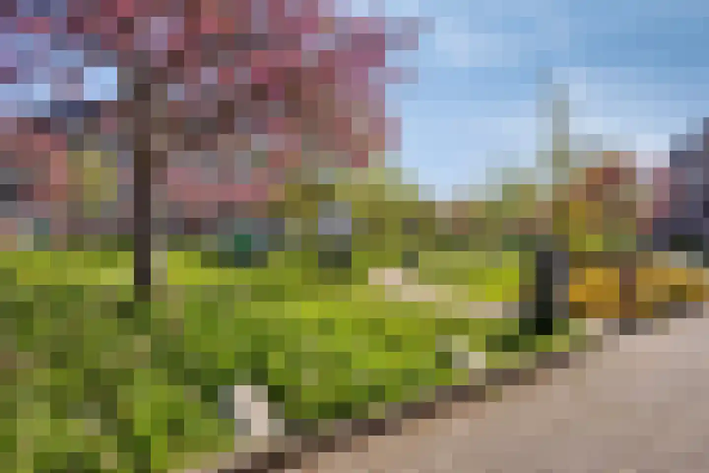 Jonkstraat 16 Alkmaar thumbnail 37
