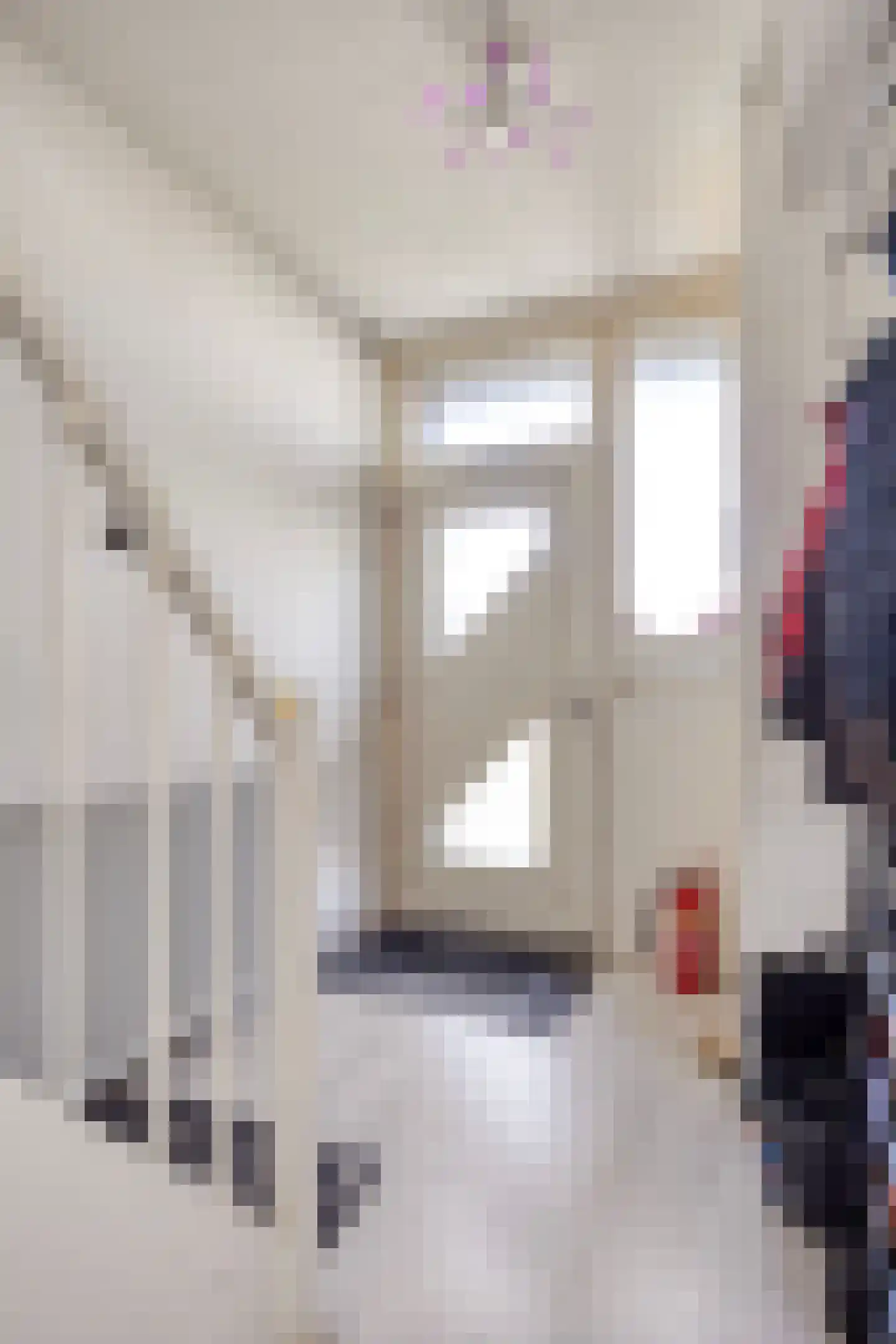 Jonkstraat 16 Alkmaar thumbnail 5