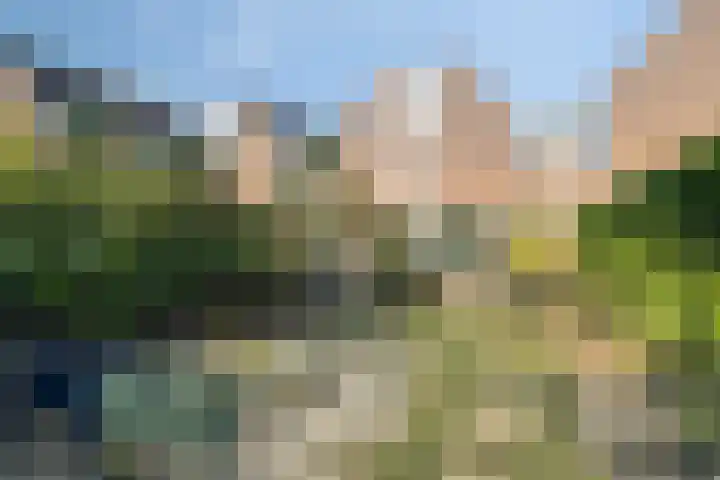Jonkstraat 23 Alkmaar thumbnail 20