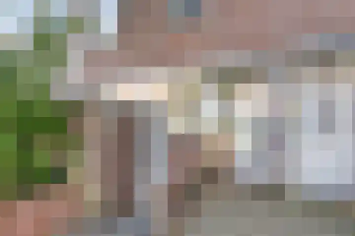 Jonkstraat 23 Alkmaar thumbnail 6