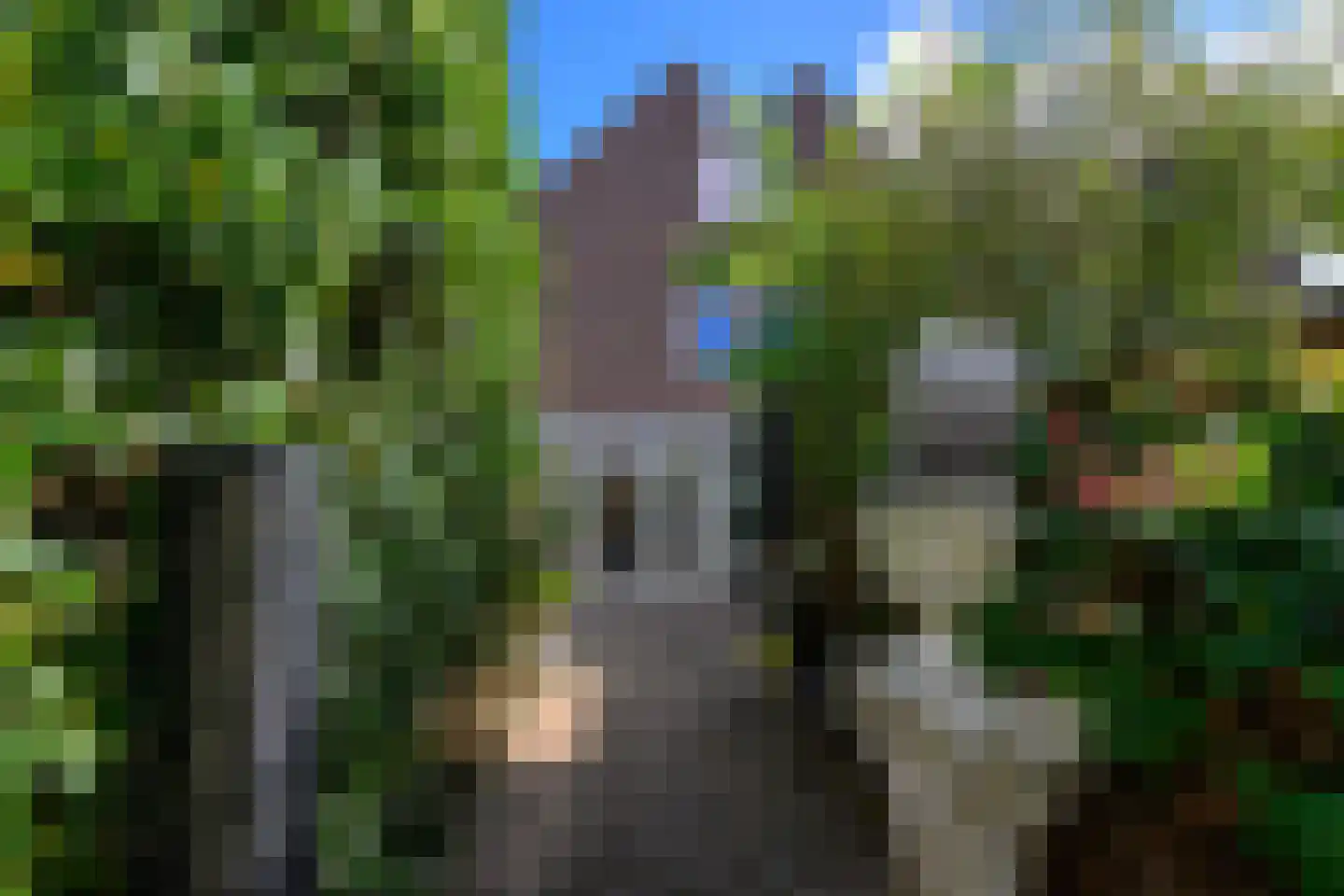 Jonkstraat 49 Alkmaar thumbnail 20