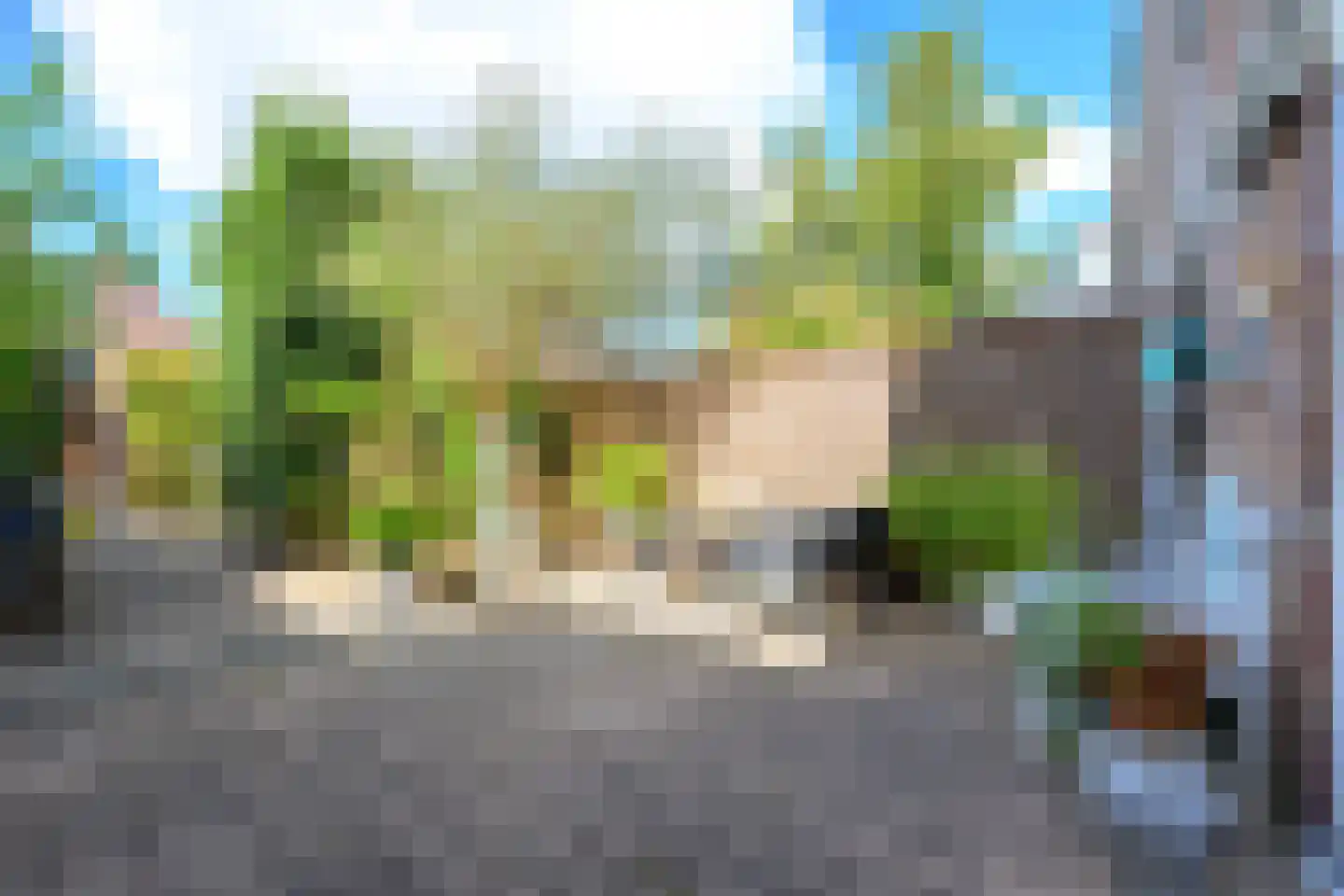 Jonkstraat 49 Alkmaar thumbnail 21
