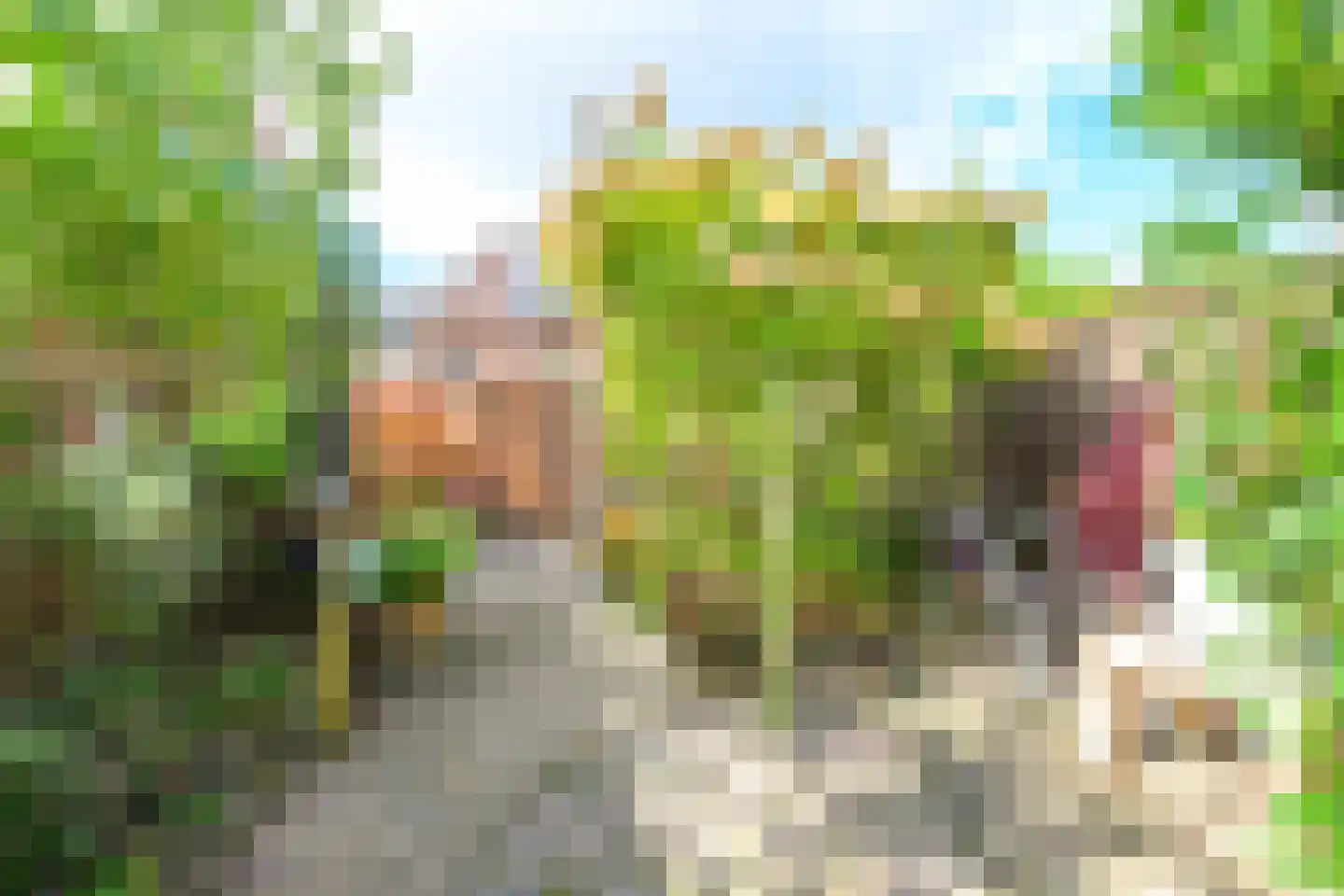 Jonkstraat 49 Alkmaar thumbnail 22