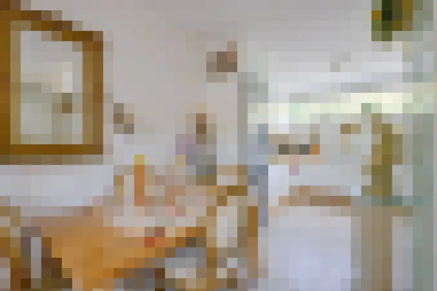 Jonkstraat 49 Alkmaar thumbnail 8