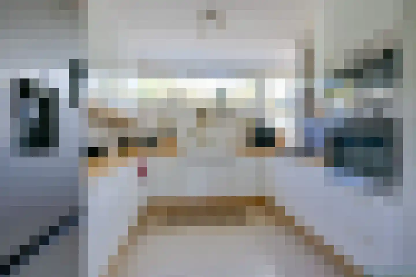 Jonkstraat 49 Alkmaar thumbnail 9