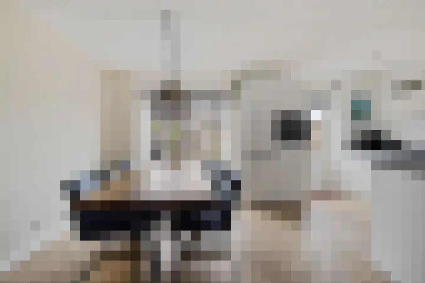 Jonkvrouw 15 Sneek thumbnail 11
