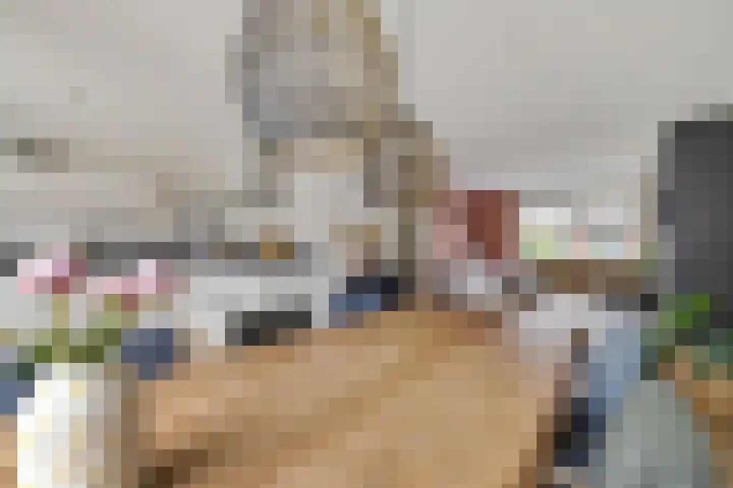 Jonkvrouw 15 Sneek thumbnail 18