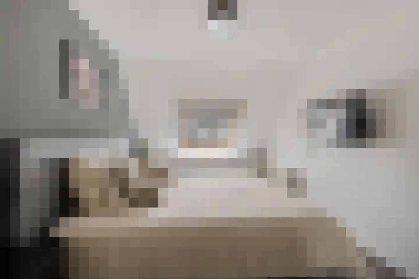 Jonkvrouw 15 Sneek thumbnail 19