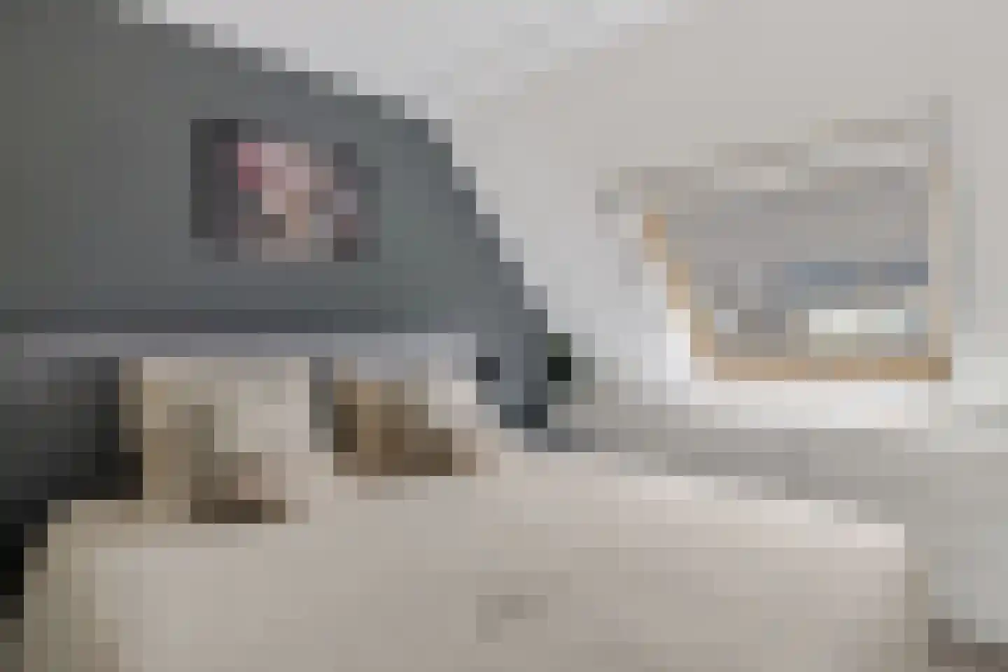 Jonkvrouw 15 Sneek thumbnail 20