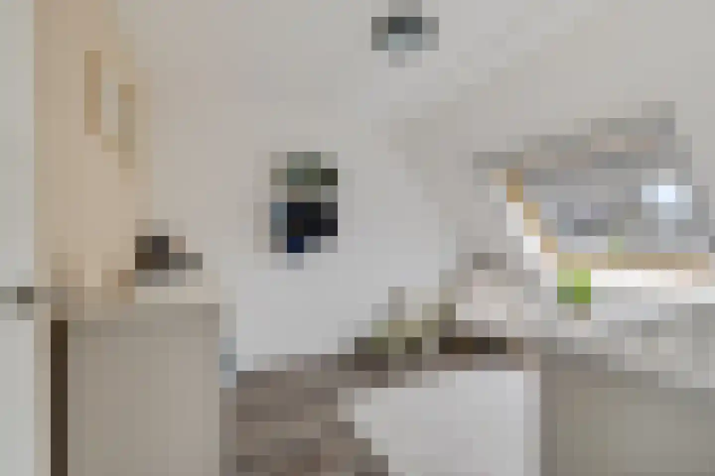 Jonkvrouw 15 Sneek thumbnail 21