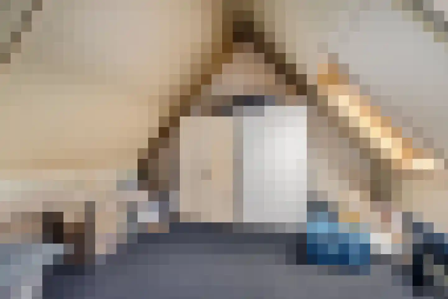 Jonkvrouw 15 Sneek thumbnail 27