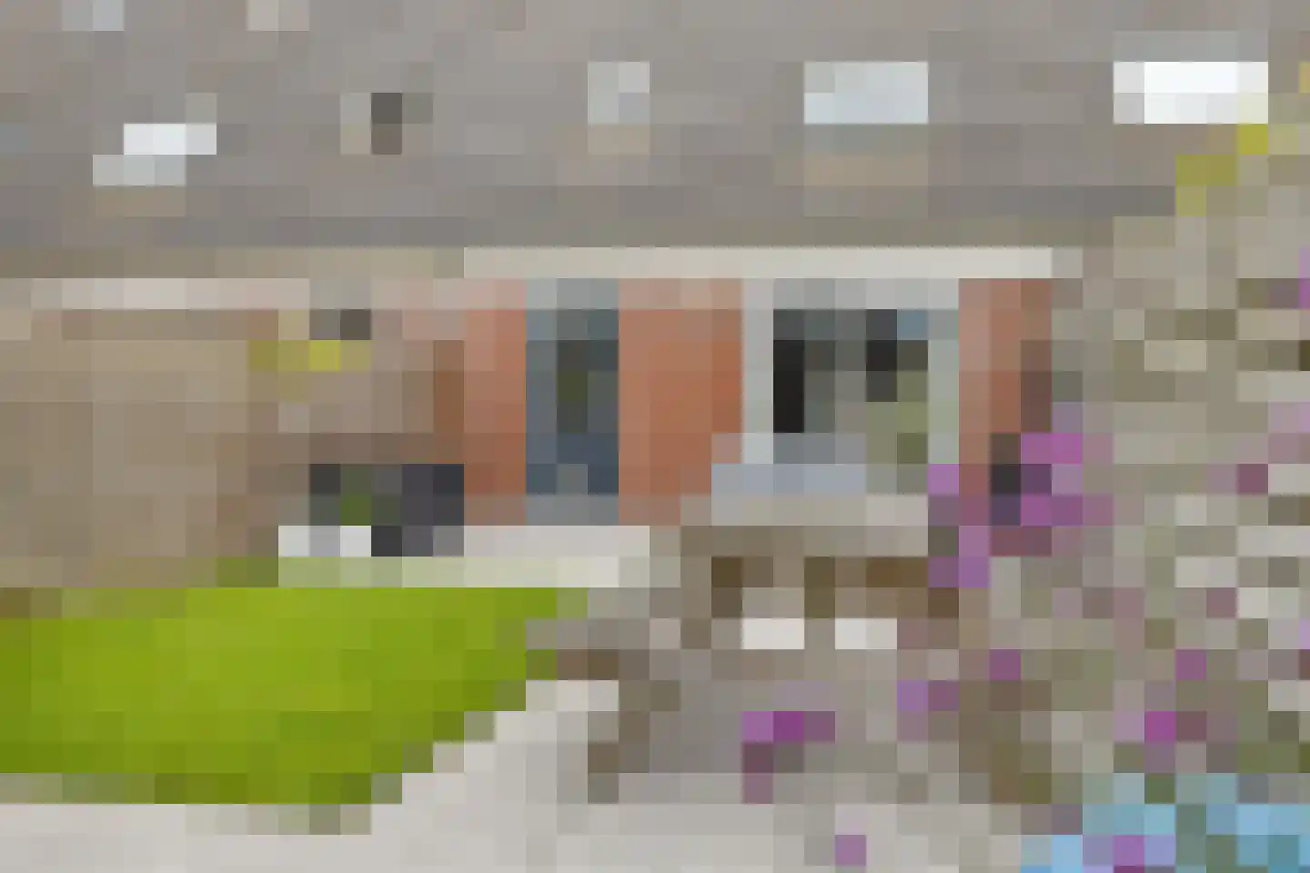 Jonkvrouw 15 Sneek thumbnail 32