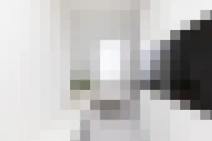 Jonkvrouw 40 Sneek thumbnail 19