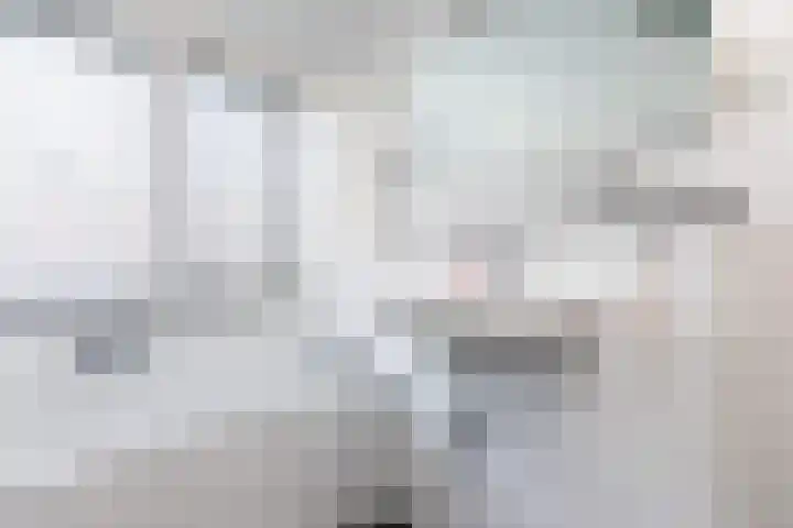 Jonkvrouw 40 Sneek thumbnail 22