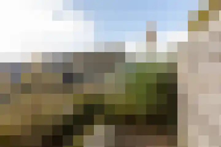 Jonkvrouw 40 Sneek thumbnail 29