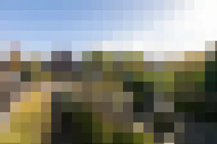 Jonkvrouw 40 Sneek thumbnail 30