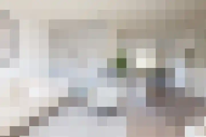 Jonkvrouw 40 Sneek thumbnail 6