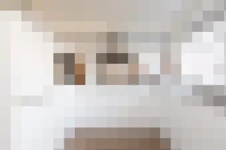 Jonkvrouw 40 Sneek thumbnail 9