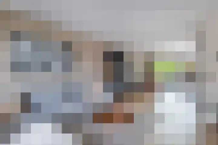 Jonkvrouw 52 Sneek thumbnail 13