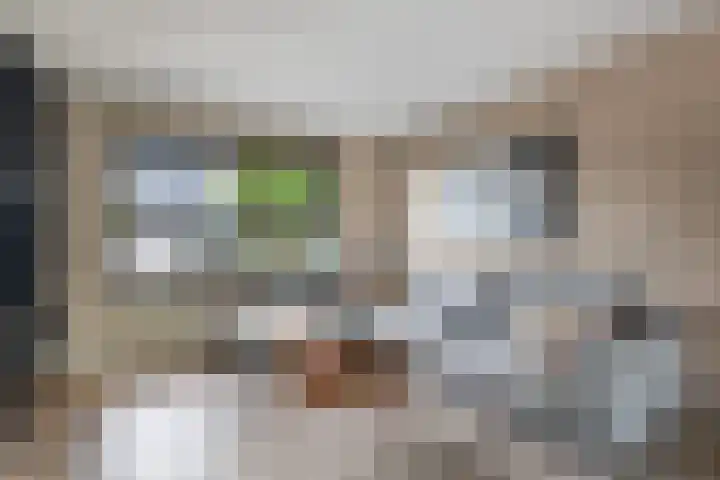 Jonkvrouw 52 Sneek thumbnail 14