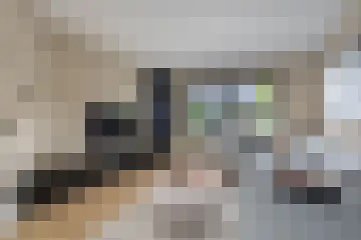 Jonkvrouw 52 Sneek thumbnail 15