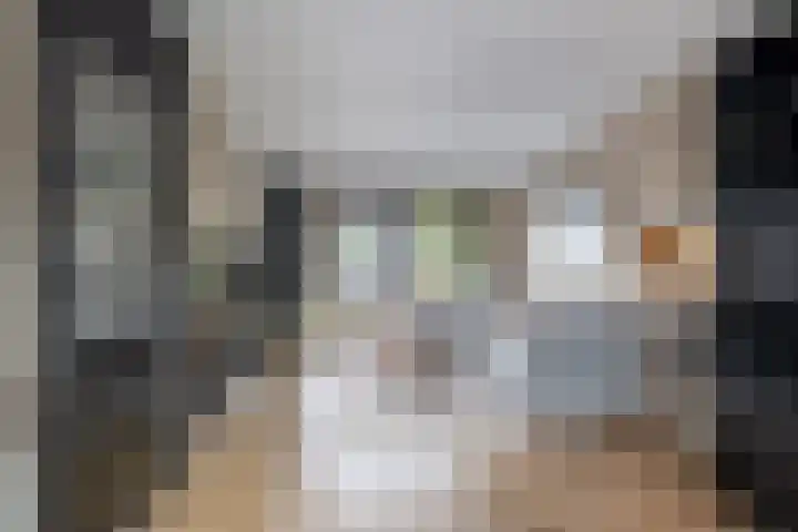 Jonkvrouw 52 Sneek thumbnail 16