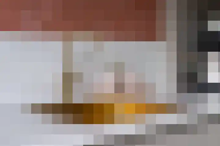 Jonkvrouw 52 Sneek thumbnail 19