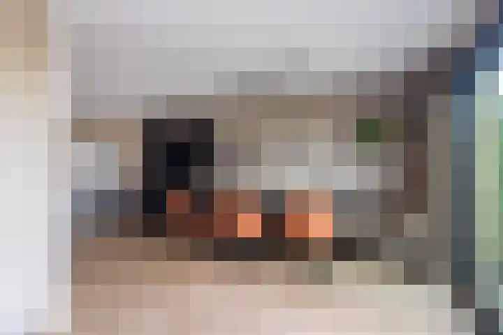Jonkvrouw 52 Sneek thumbnail 22
