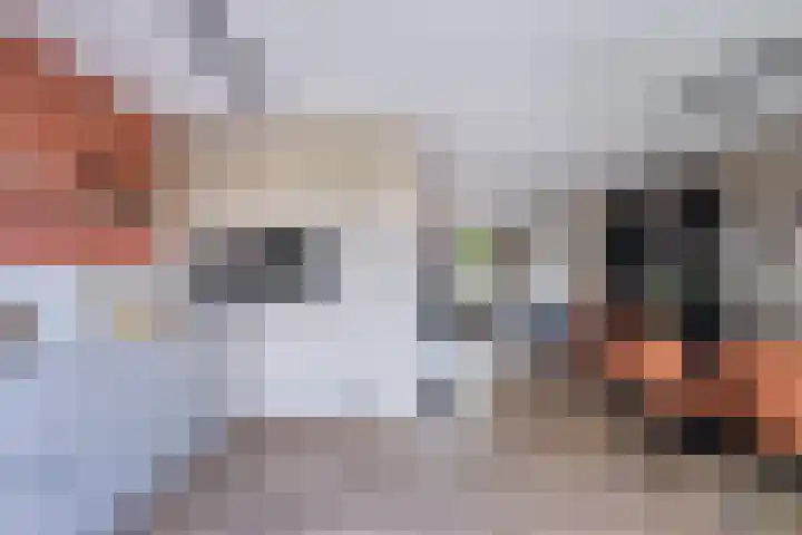 Jonkvrouw 52 Sneek thumbnail 23