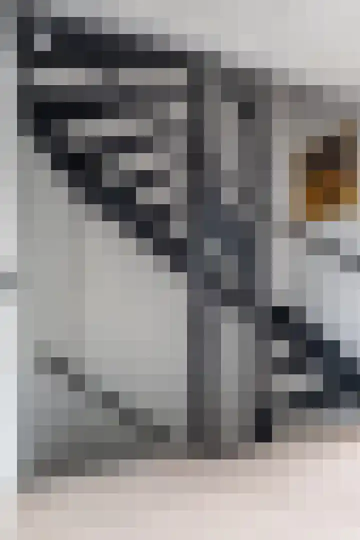 Jonkvrouw 52 Sneek thumbnail 30