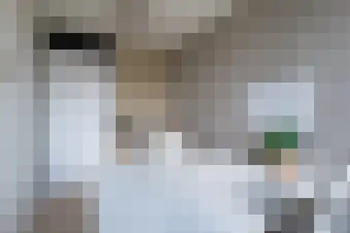 Jonkvrouw 52 Sneek thumbnail 34