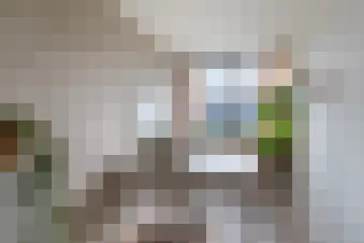 Jonkvrouw 52 Sneek thumbnail 35