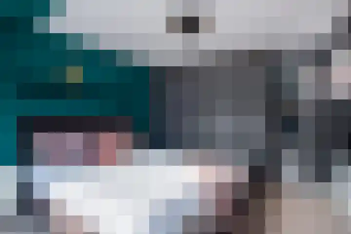 Jonkvrouw 52 Sneek thumbnail 36