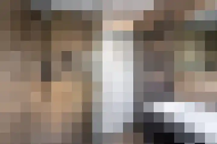 Jonkvrouw 52 Sneek thumbnail 41
