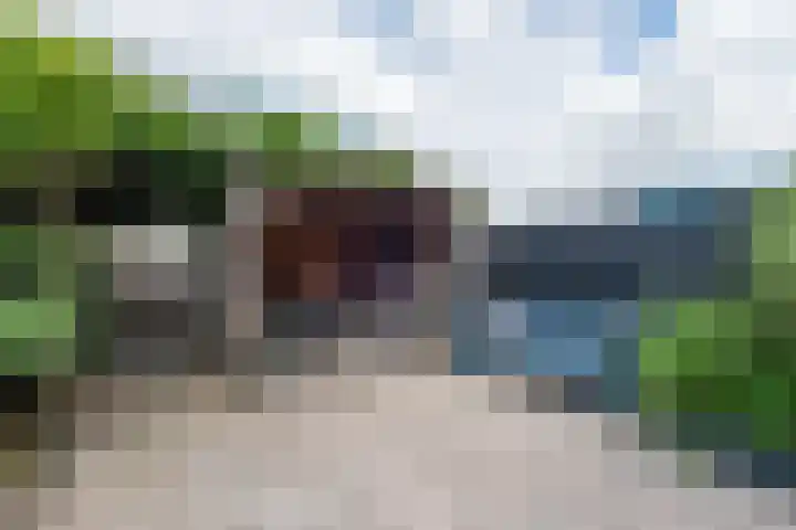 Jonkvrouw 52 Sneek thumbnail 43